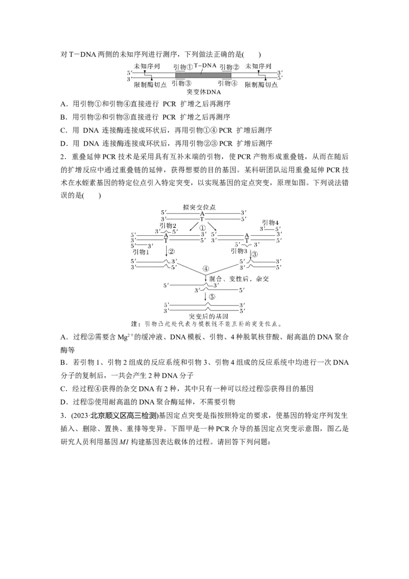 第10单元　解惑练4　PCR技术拓展应用_2024年新高考资料_1.2024一轮复习_2024年高考生物一轮复习讲义（新人教版）_学生版在此文件夹_一轮复习69练_第十单元　生物技术与工程