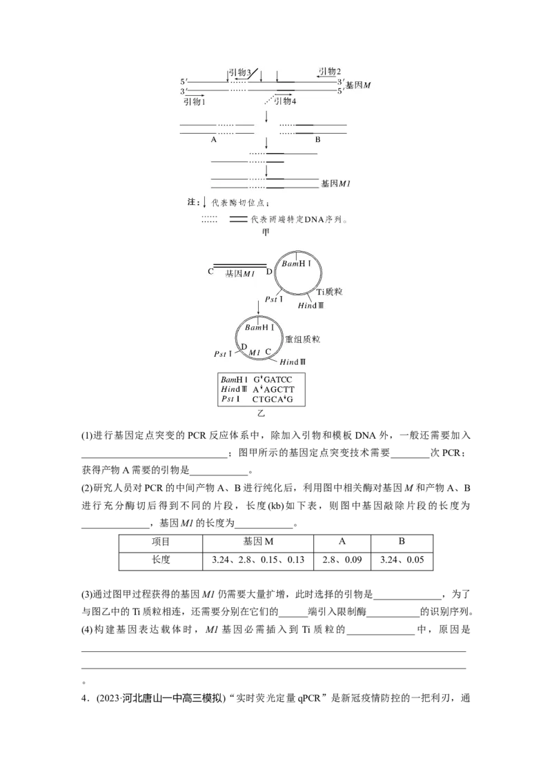 第10单元　解惑练4　PCR技术拓展应用_2024年新高考资料_1.2024一轮复习_2024年高考生物一轮复习讲义（新人教版）_学生版在此文件夹_一轮复习69练_第十单元　生物技术与工程