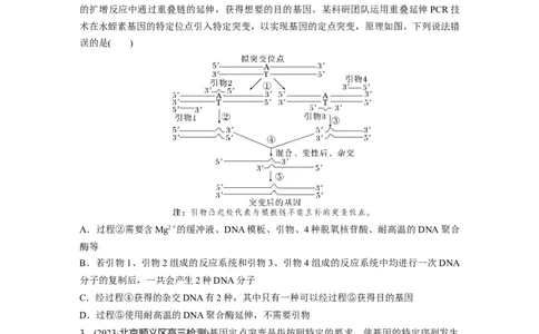 第10单元　解惑练4　PCR技术拓展应用_2024年新高考资料_1.2024一轮复习_2024年高考生物一轮复习讲义（新人教版）_学生版在此文件夹_一轮复习69练_第十单元　生物技术与工程