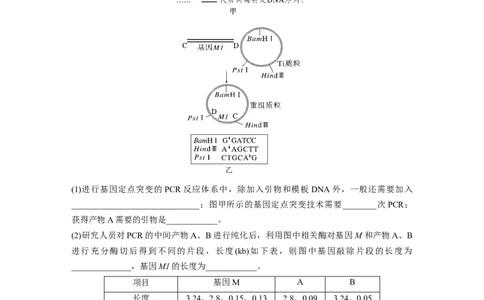 第10单元　解惑练4　PCR技术拓展应用_2024年新高考资料_1.2024一轮复习_2024年高考生物一轮复习讲义（新人教版）_学生版在此文件夹_一轮复习69练_第十单元　生物技术与工程