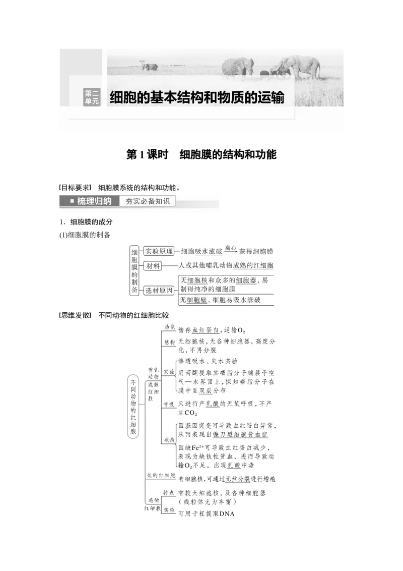 2023年高考生物一轮复习（全国版）第2单元第1课时　细胞膜的结构和功能_通用版（老高考）复习资料_2023年复习资料_一轮复习_2023年高考生物一轮复习讲义+课件（全国版）