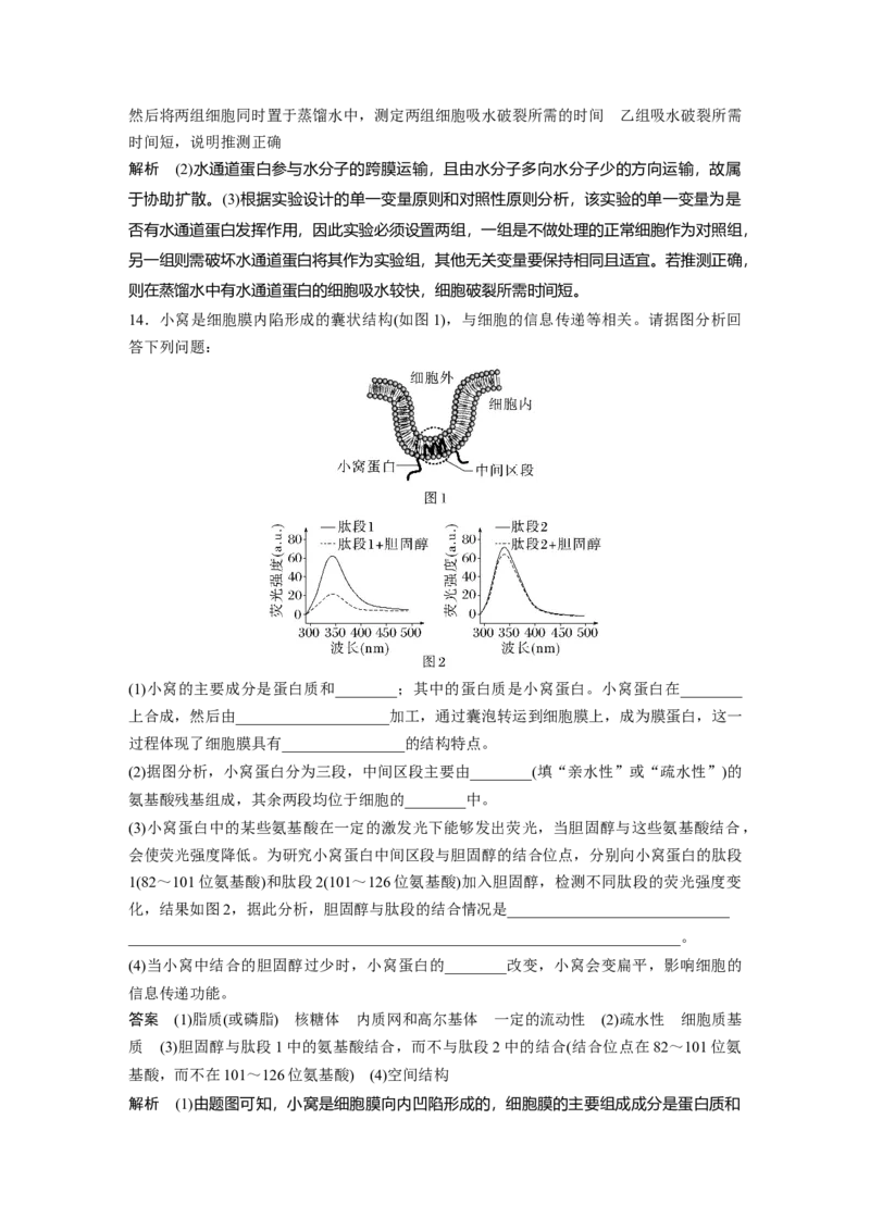 2023年高考生物一轮复习（全国版）第2单元第1课时　细胞膜的结构和功能_通用版（老高考）复习资料_2023年复习资料_一轮复习_2023年高考生物一轮复习讲义+课件（全国版）