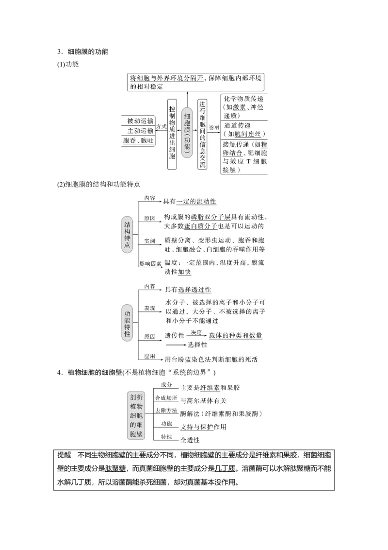 2023年高考生物一轮复习（全国版）第2单元第1课时　细胞膜的结构和功能_通用版（老高考）复习资料_2023年复习资料_一轮复习_2023年高考生物一轮复习讲义+课件（全国版）