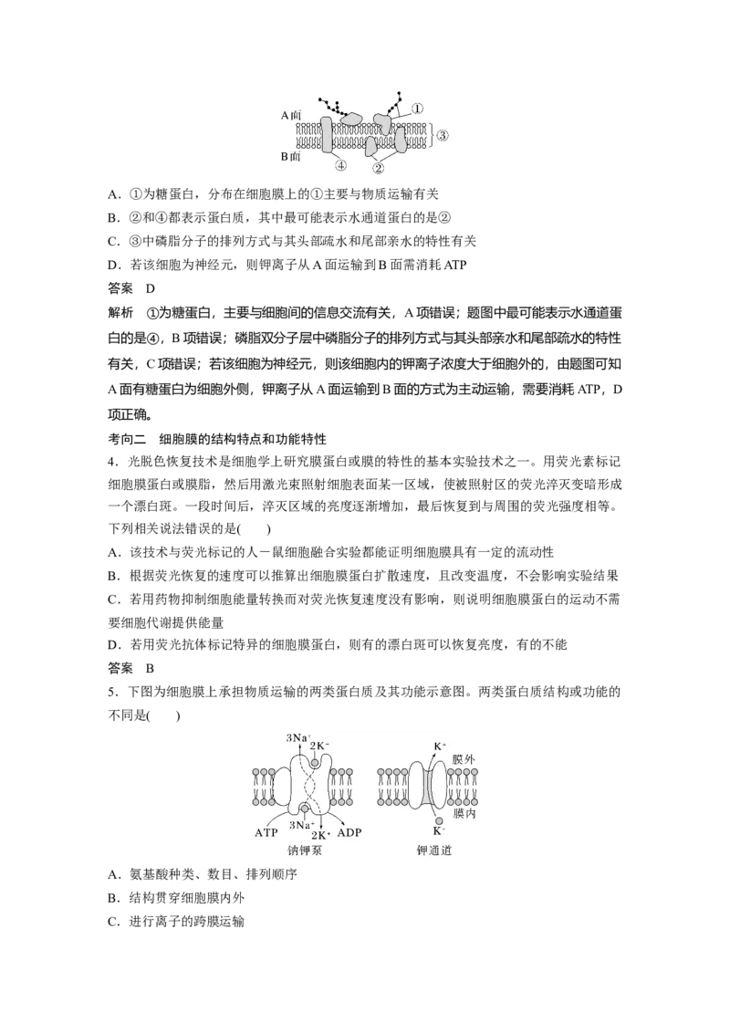 2023年高考生物一轮复习（全国版）第2单元第1课时　细胞膜的结构和功能_通用版（老高考）复习资料_2023年复习资料_一轮复习_2023年高考生物一轮复习讲义+课件（全国版）