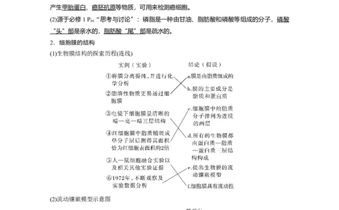 2023年高考生物一轮复习（全国版）第2单元第1课时　细胞膜的结构和功能_通用版（老高考）复习资料_2023年复习资料_一轮复习_2023年高考生物一轮复习讲义+课件（全国版）