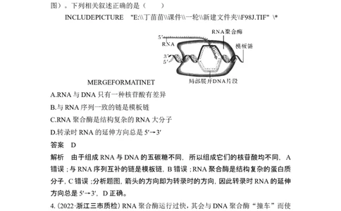 热点微练13基因的表达(尖子生特训)_2024年新高考资料_1.2024一轮复习_2024年高考生物一轮复习讲义（新人教版）_另附1套Word版题库_必修2_第六单元遗传的分子基础