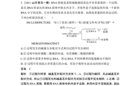 热点微练13基因的表达(尖子生特训)_2024年新高考资料_1.2024一轮复习_2024年高考生物一轮复习讲义（新人教版）_另附1套Word版题库_必修2_第六单元遗传的分子基础