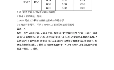 热点微练13基因的表达(尖子生特训)_2024年新高考资料_1.2024一轮复习_2024年高考生物一轮复习讲义（新人教版）_另附1套Word版题库_必修2_第六单元遗传的分子基础