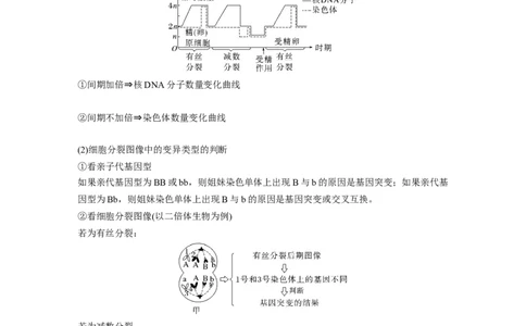 2023年高考生物二轮复习（全国版）第2篇考前必备第1部分三、细胞的生命历程_通用版（老高考）复习资料_2023年复习资料_二轮复习_2023年高考生物二轮复习讲义+课件（全国版）