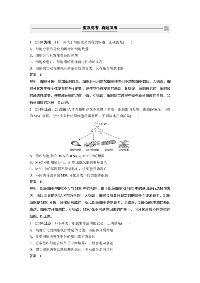 2022年高考生物一轮复习第4单元第13讲　细胞的分化、衰老、凋亡与癌变_新高考复习资料_2022年新高考复习资料_2022年一轮复习最新版_1.2022年高考生物一轮复习全国通用版