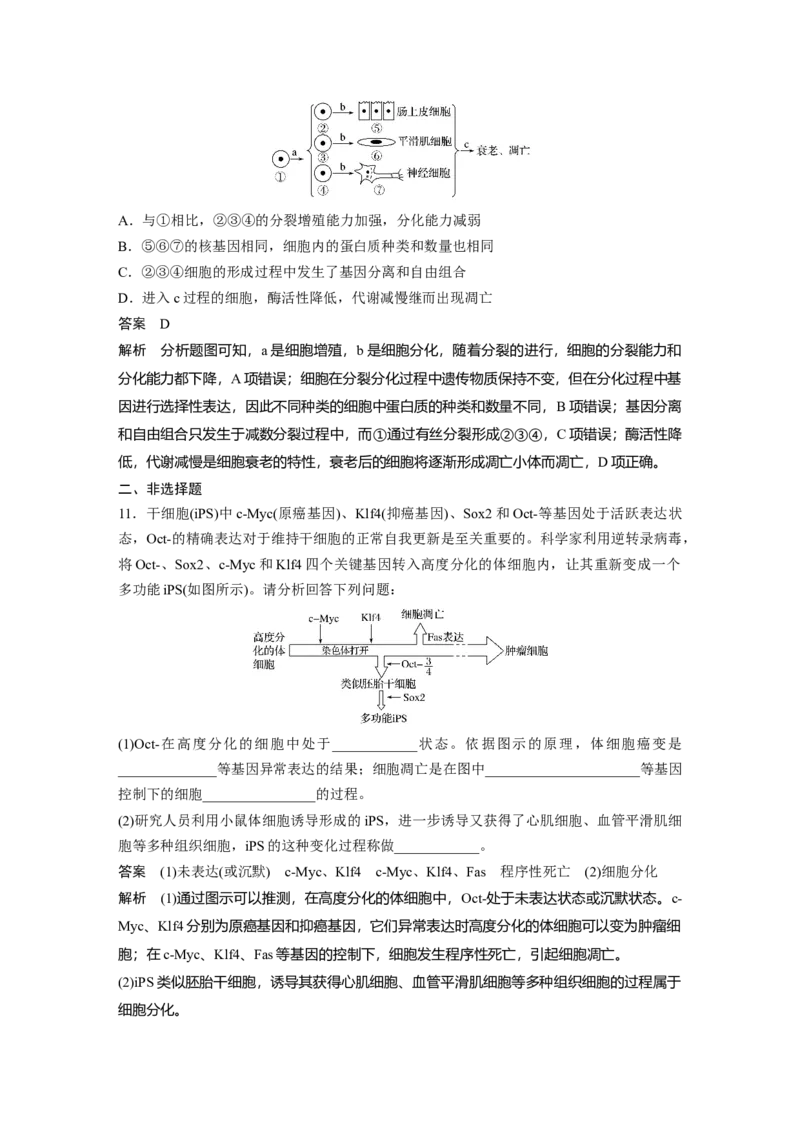 2022年高考生物一轮复习第4单元第13讲　细胞的分化、衰老、凋亡与癌变_新高考复习资料_2022年新高考复习资料_2022年一轮复习最新版_1.2022年高考生物一轮复习全国通用版