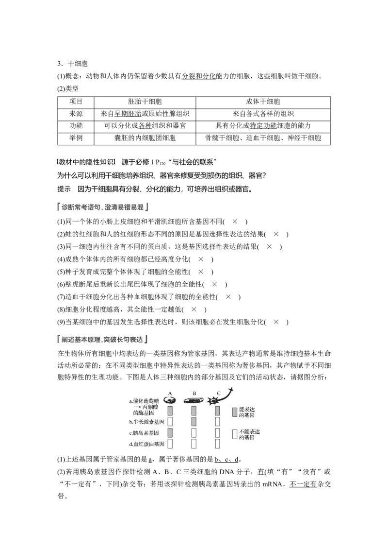 2022年高考生物一轮复习第4单元第13讲　细胞的分化、衰老、凋亡与癌变_新高考复习资料_2022年新高考复习资料_2022年一轮复习最新版_1.2022年高考生物一轮复习全国通用版