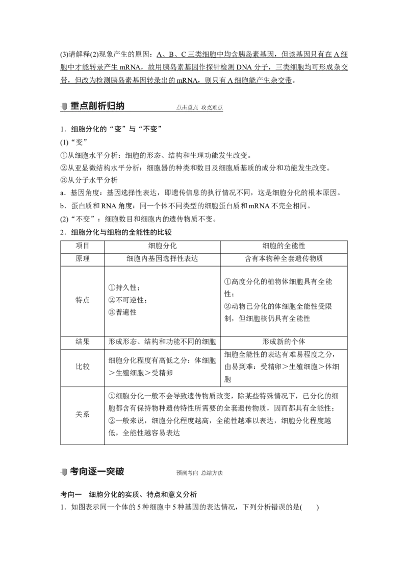 2022年高考生物一轮复习第4单元第13讲　细胞的分化、衰老、凋亡与癌变_新高考复习资料_2022年新高考复习资料_2022年一轮复习最新版_1.2022年高考生物一轮复习全国通用版