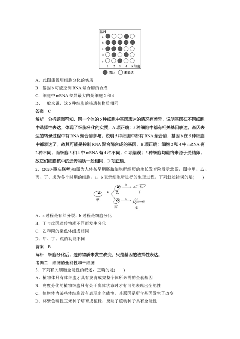 2022年高考生物一轮复习第4单元第13讲　细胞的分化、衰老、凋亡与癌变_新高考复习资料_2022年新高考复习资料_2022年一轮复习最新版_1.2022年高考生物一轮复习全国通用版