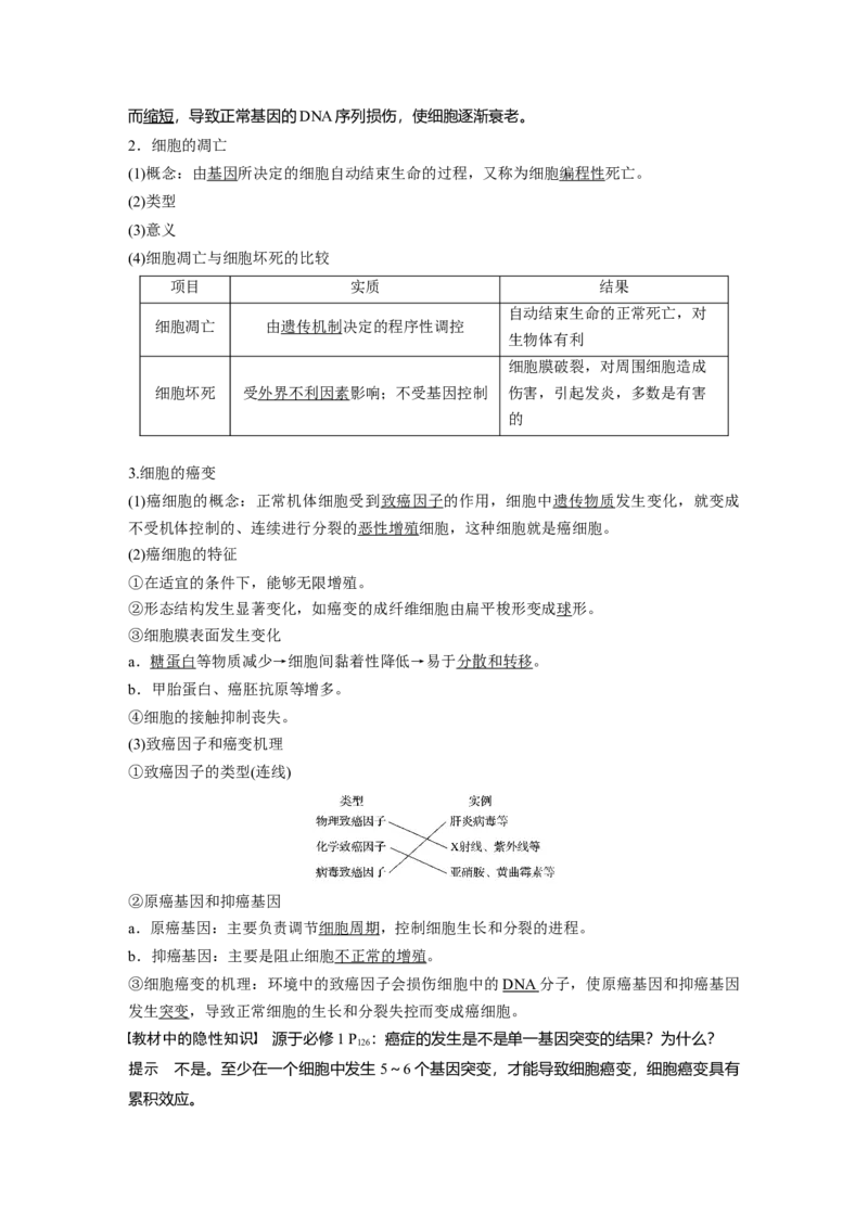 2022年高考生物一轮复习第4单元第13讲　细胞的分化、衰老、凋亡与癌变_新高考复习资料_2022年新高考复习资料_2022年一轮复习最新版_1.2022年高考生物一轮复习全国通用版