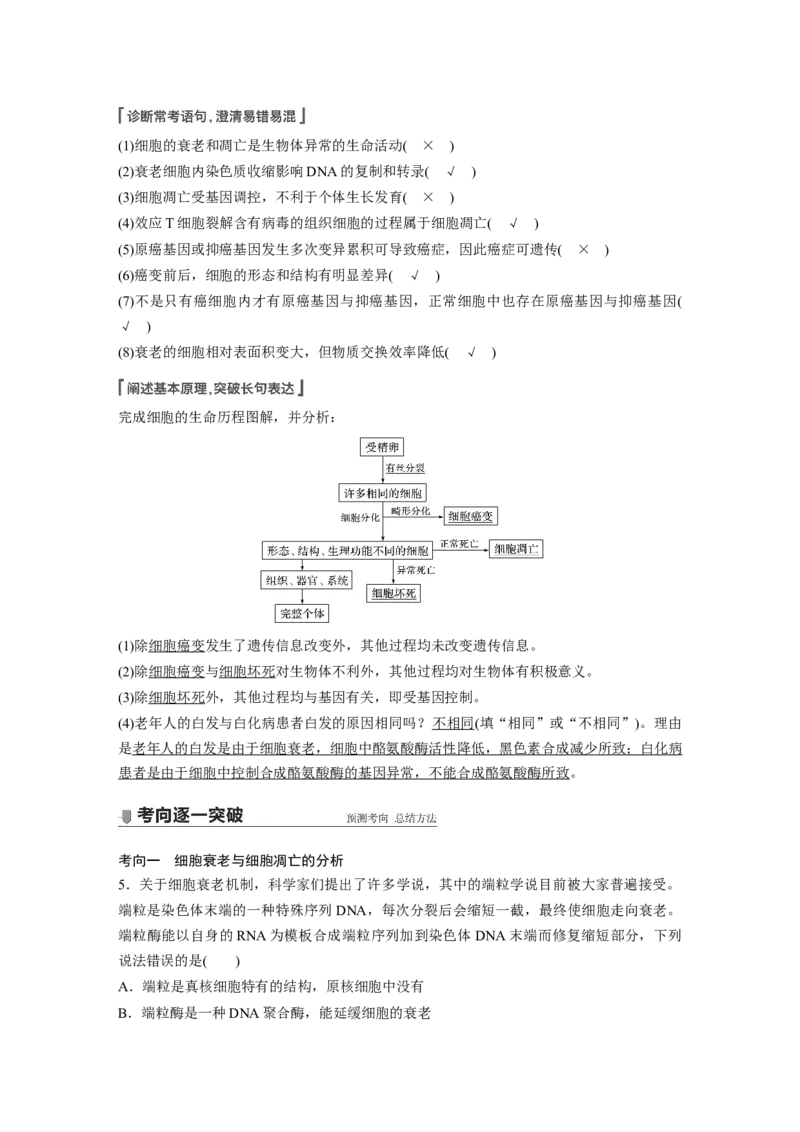 2022年高考生物一轮复习第4单元第13讲　细胞的分化、衰老、凋亡与癌变_新高考复习资料_2022年新高考复习资料_2022年一轮复习最新版_1.2022年高考生物一轮复习全国通用版
