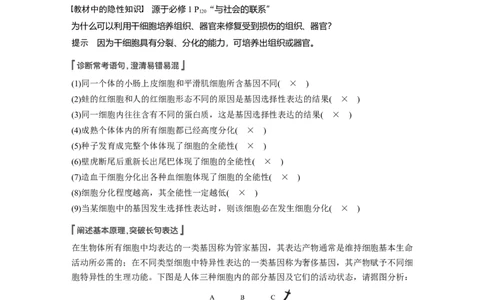 2022年高考生物一轮复习第4单元第13讲　细胞的分化、衰老、凋亡与癌变_新高考复习资料_2022年新高考复习资料_2022年一轮复习最新版_1.2022年高考生物一轮复习全国通用版