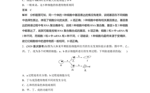 2022年高考生物一轮复习第4单元第13讲　细胞的分化、衰老、凋亡与癌变_新高考复习资料_2022年新高考复习资料_2022年一轮复习最新版_1.2022年高考生物一轮复习全国通用版