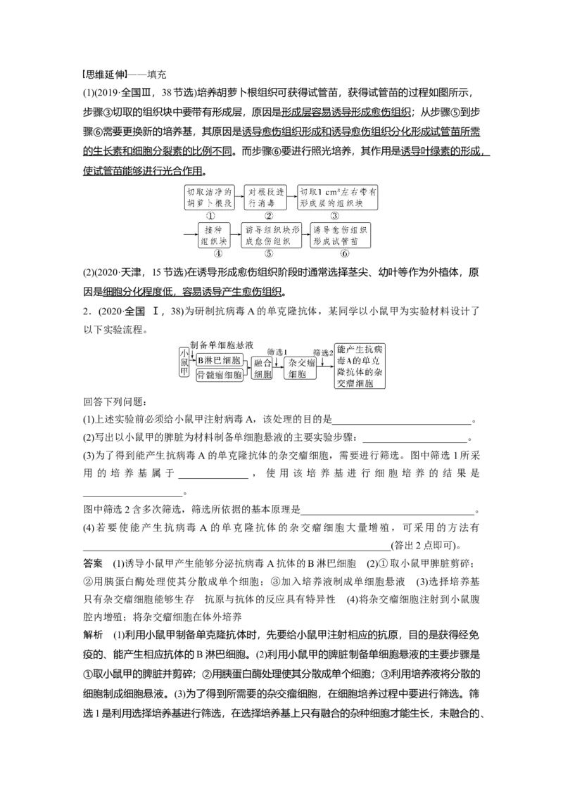 2023年高考生物二轮复习（全国版）第1篇专题突破专题9考点2　细胞工程_通用版（老高考）复习资料_2023年复习资料_二轮复习_2023年高考生物二轮复习讲义+课件（全国版）
