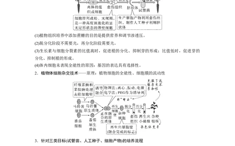 2023年高考生物二轮复习（全国版）第1篇专题突破专题9考点2　细胞工程_通用版（老高考）复习资料_2023年复习资料_二轮复习_2023年高考生物二轮复习讲义+课件（全国版）
