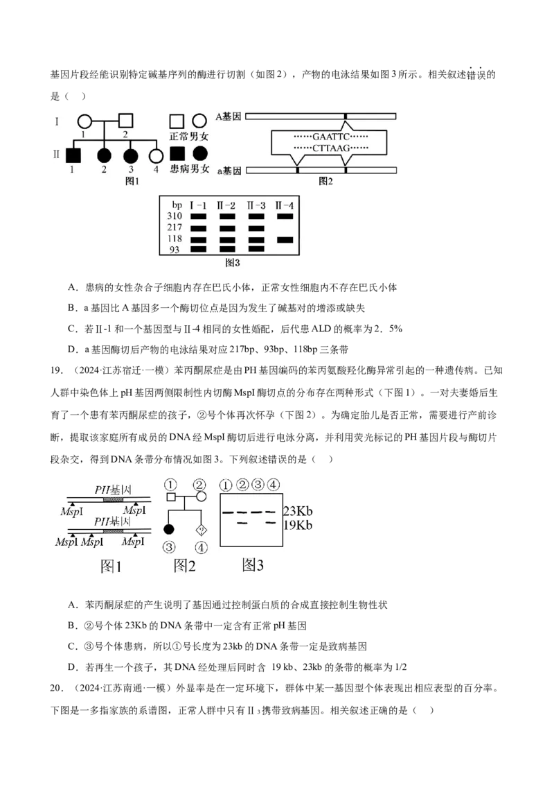 押江苏卷选择题遗传的基本规律和人类遗传病（原卷版）_2024年新高考资料_5.2024三轮冲刺_备战2024年高考生物临考题号押题（江苏专用）322855714