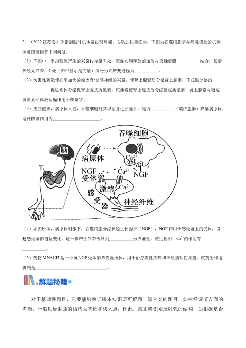 押江苏卷第20题生命活动的调节（原卷版）_2024年新高考资料_5.2024三轮冲刺_备战2024年高考生物临考题号押题（江苏专用）322855714