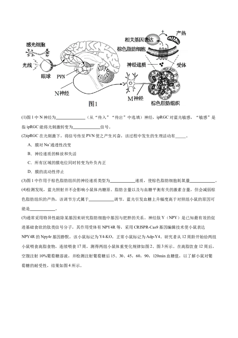 押江苏卷第20题生命活动的调节（原卷版）_2024年新高考资料_5.2024三轮冲刺_备战2024年高考生物临考题号押题（江苏专用）322855714