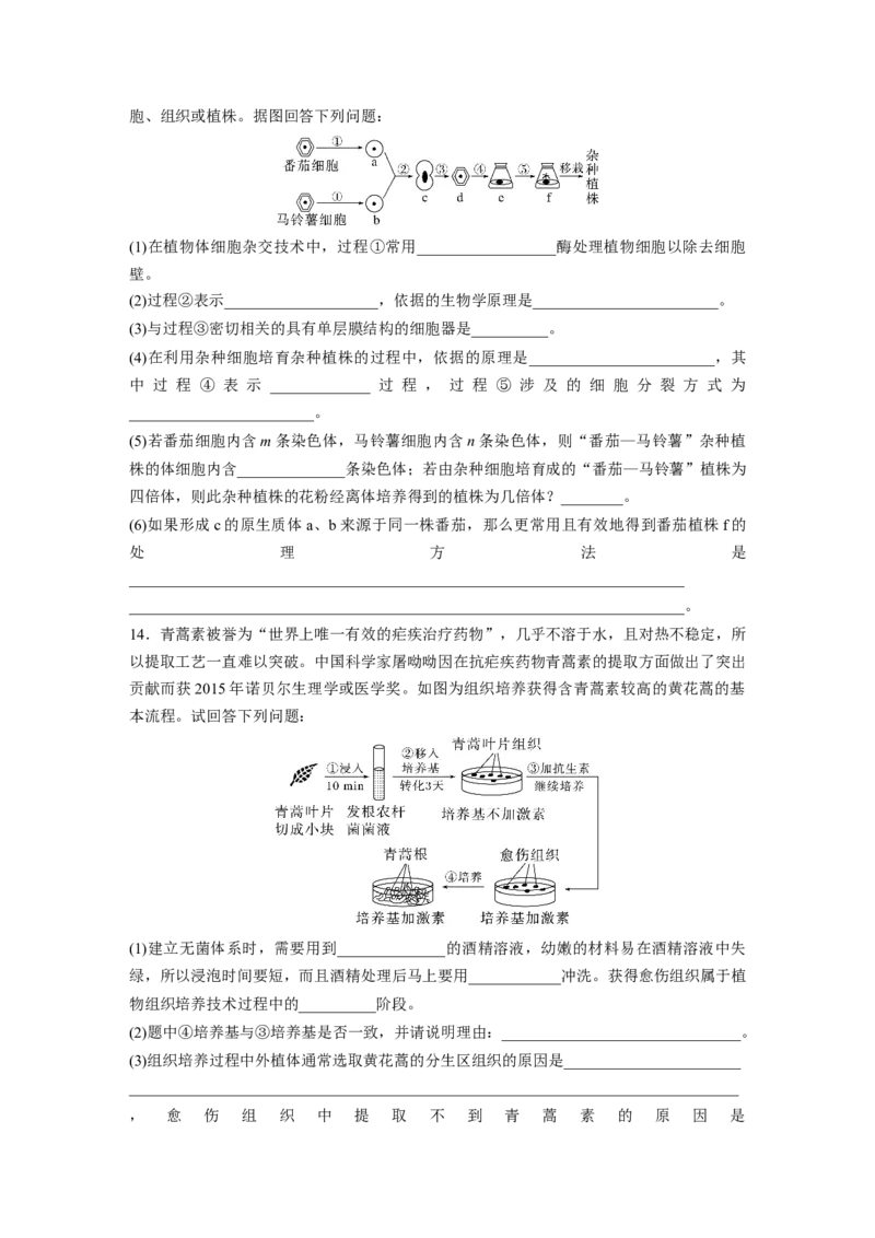 第10单元　课时练3　植物细胞工程_2024年新高考资料_1.2024一轮复习_2024年高考生物一轮复习讲义（新人教版）_学生版在此文件夹_一轮复习69练_第十单元　生物技术与工程