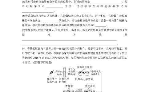 第10单元　课时练3　植物细胞工程_2024年新高考资料_1.2024一轮复习_2024年高考生物一轮复习讲义（新人教版）_学生版在此文件夹_一轮复习69练_第十单元　生物技术与工程