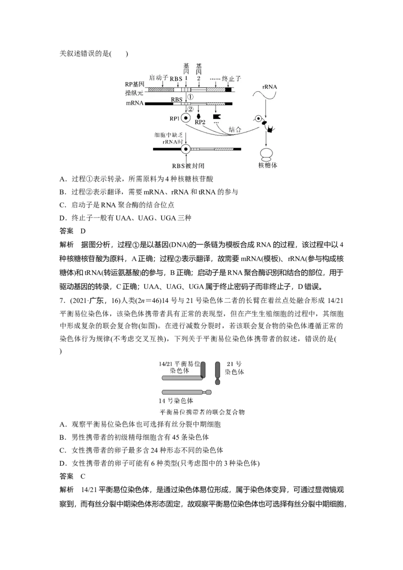 2023年高考生物二轮复习（全国版）第1篇专题突破专题5专题强化练_通用版（老高考）复习资料_2023年复习资料_二轮复习_2023年高考生物二轮复习讲义+课件（全国版）