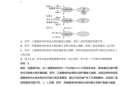 2023年高考生物二轮复习（全国版）第1篇专题突破专题5专题强化练_通用版（老高考）复习资料_2023年复习资料_二轮复习_2023年高考生物二轮复习讲义+课件（全国版）