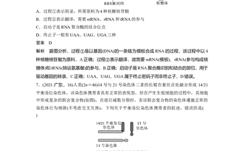 2023年高考生物二轮复习（全国版）第1篇专题突破专题5专题强化练_通用版（老高考）复习资料_2023年复习资料_二轮复习_2023年高考生物二轮复习讲义+课件（全国版）