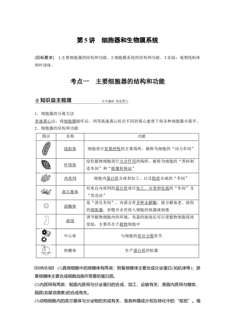2022年高考生物一轮复习第2单元第5讲　细胞器和生物膜系统_新高考复习资料_2022年新高考复习资料_2022年一轮复习最新版_1.2022年高考生物一轮复习全国通用版
