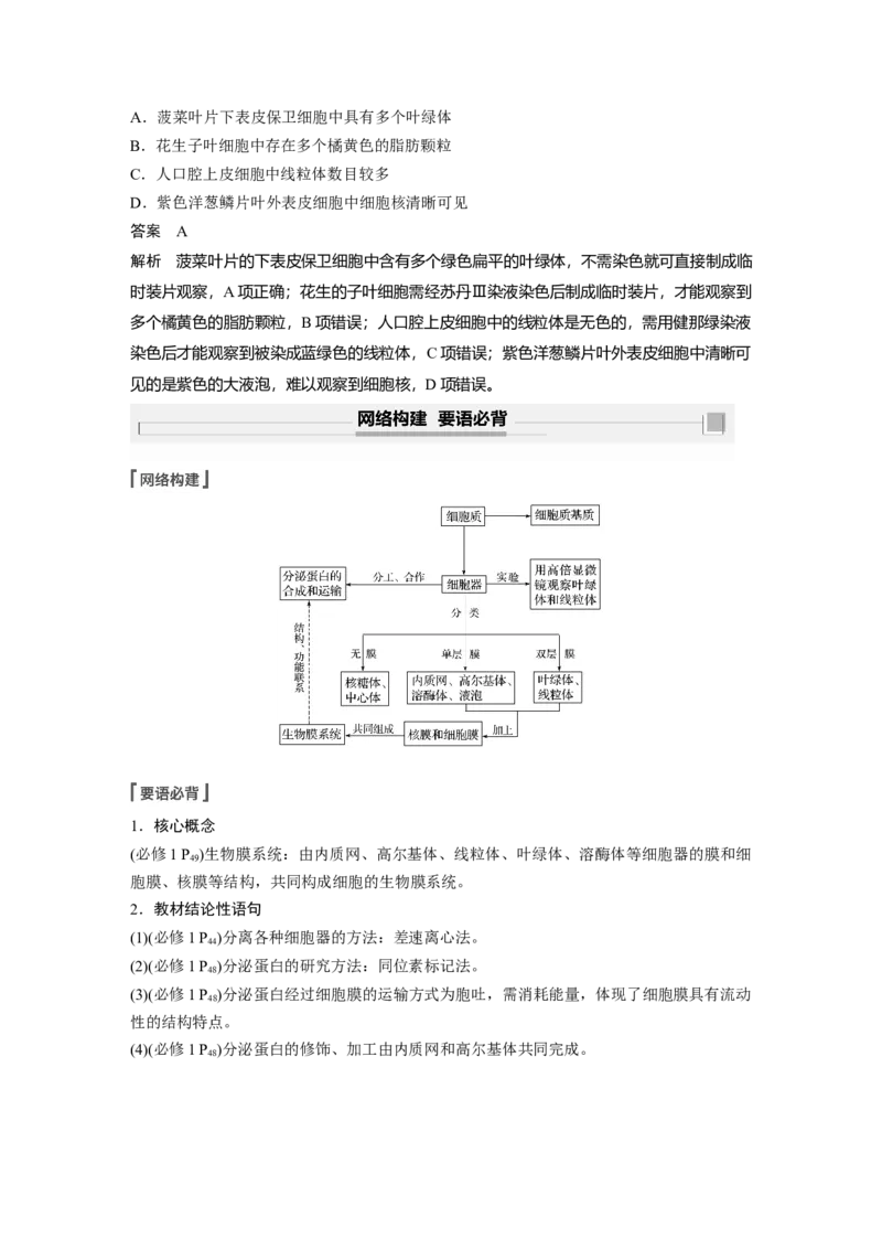 2022年高考生物一轮复习第2单元第5讲　细胞器和生物膜系统_新高考复习资料_2022年新高考复习资料_2022年一轮复习最新版_1.2022年高考生物一轮复习全国通用版