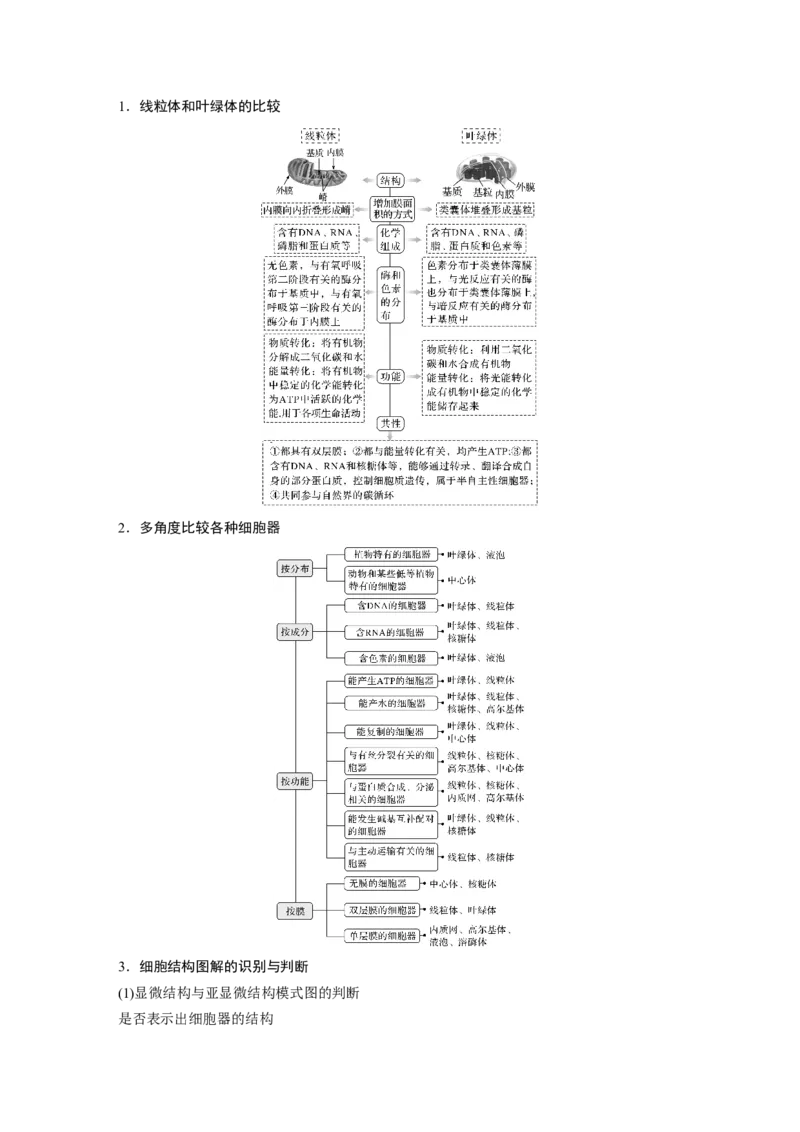 2022年高考生物一轮复习第2单元第5讲　细胞器和生物膜系统_新高考复习资料_2022年新高考复习资料_2022年一轮复习最新版_1.2022年高考生物一轮复习全国通用版