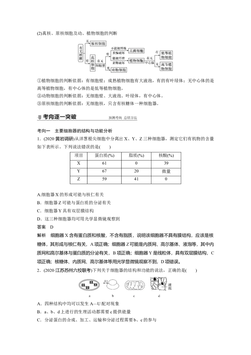 2022年高考生物一轮复习第2单元第5讲　细胞器和生物膜系统_新高考复习资料_2022年新高考复习资料_2022年一轮复习最新版_1.2022年高考生物一轮复习全国通用版