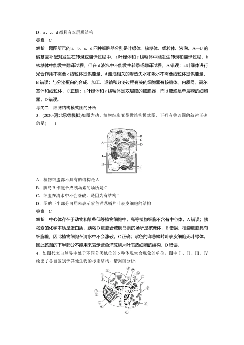 2022年高考生物一轮复习第2单元第5讲　细胞器和生物膜系统_新高考复习资料_2022年新高考复习资料_2022年一轮复习最新版_1.2022年高考生物一轮复习全国通用版