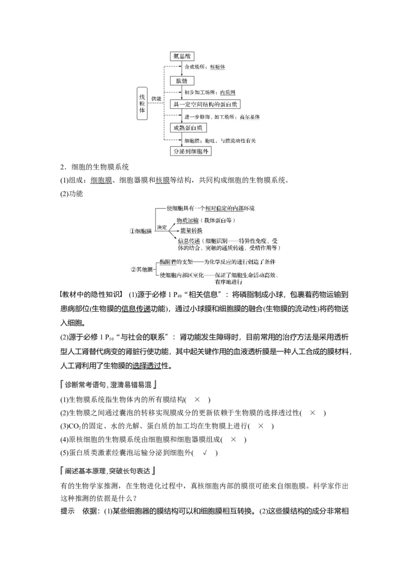 2022年高考生物一轮复习第2单元第5讲　细胞器和生物膜系统_新高考复习资料_2022年新高考复习资料_2022年一轮复习最新版_1.2022年高考生物一轮复习全国通用版