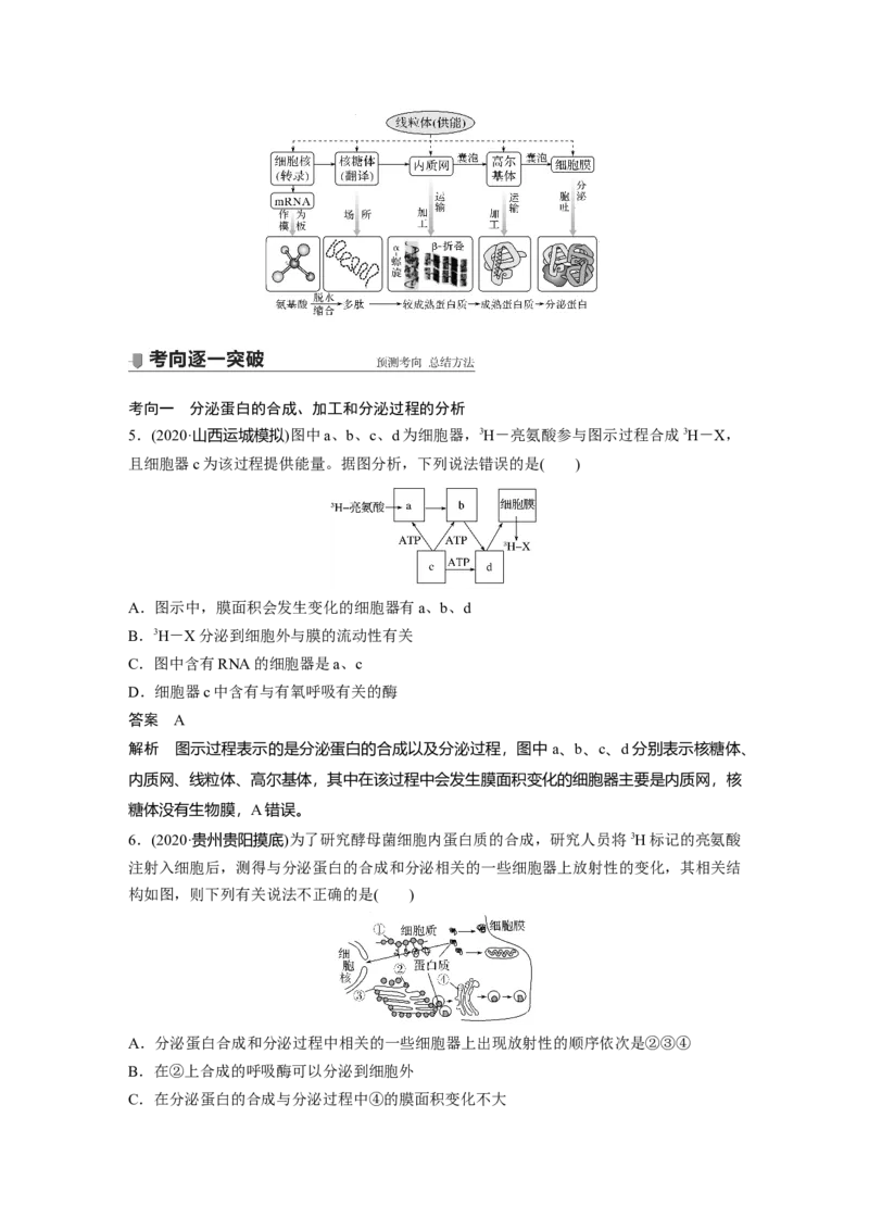 2022年高考生物一轮复习第2单元第5讲　细胞器和生物膜系统_新高考复习资料_2022年新高考复习资料_2022年一轮复习最新版_1.2022年高考生物一轮复习全国通用版