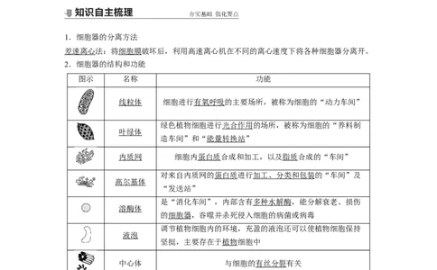 2022年高考生物一轮复习第2单元第5讲　细胞器和生物膜系统_新高考复习资料_2022年新高考复习资料_2022年一轮复习最新版_1.2022年高考生物一轮复习全国通用版
