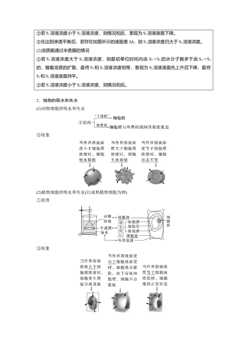 2023年高考生物一轮复习（新人教新高考）第2单元第5课时　水进出细胞的原理_新高考复习资料_2023年新高考复习资料_一轮复习_2023年新高考大一轮复习讲义