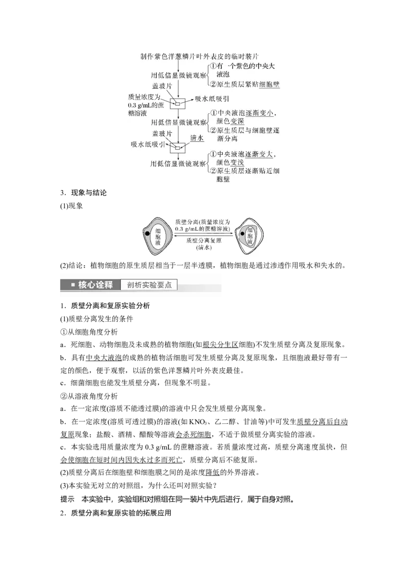 2023年高考生物一轮复习（新人教新高考）第2单元第5课时　水进出细胞的原理_新高考复习资料_2023年新高考复习资料_一轮复习_2023年新高考大一轮复习讲义