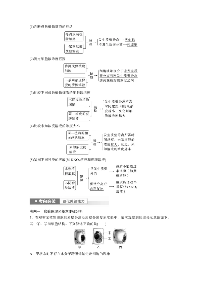 2023年高考生物一轮复习（新人教新高考）第2单元第5课时　水进出细胞的原理_新高考复习资料_2023年新高考复习资料_一轮复习_2023年新高考大一轮复习讲义