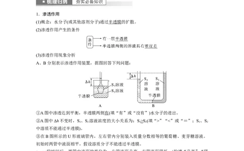2023年高考生物一轮复习（新人教新高考）第2单元第5课时　水进出细胞的原理_新高考复习资料_2023年新高考复习资料_一轮复习_2023年新高考大一轮复习讲义