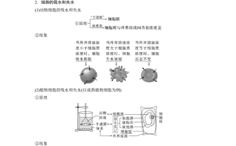 2023年高考生物一轮复习（新人教新高考）第2单元第5课时　水进出细胞的原理_新高考复习资料_2023年新高考复习资料_一轮复习_2023年新高考大一轮复习讲义