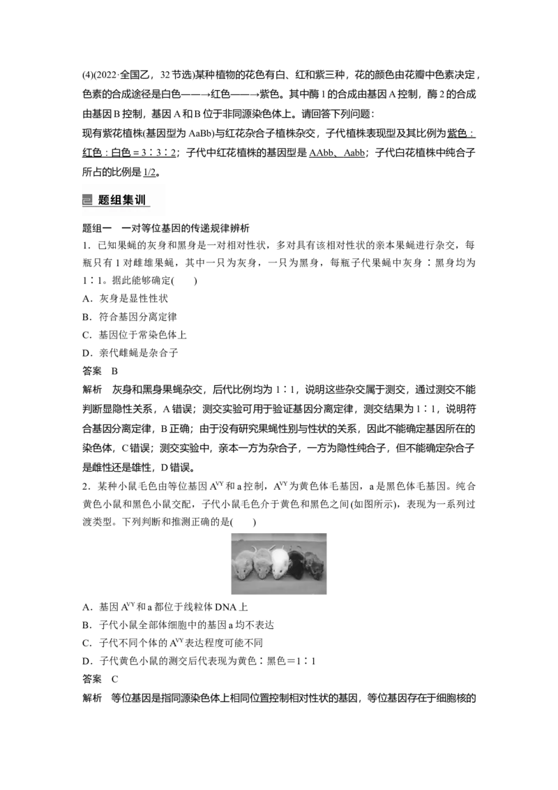 2023年高考生物二轮复习（全国版）第1篇专题突破专题4考点1　辨清遗传规律&ldquo;实质&rdquo;与相关&ldquo;比例&rdquo;_通用版（老高考）复习资料_2023年复习资料_二轮复习
