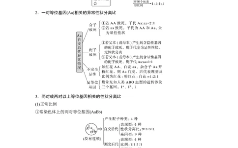 2023年高考生物二轮复习（全国版）第1篇专题突破专题4考点1　辨清遗传规律&ldquo;实质&rdquo;与相关&ldquo;比例&rdquo;_通用版（老高考）复习资料_2023年复习资料_二轮复习