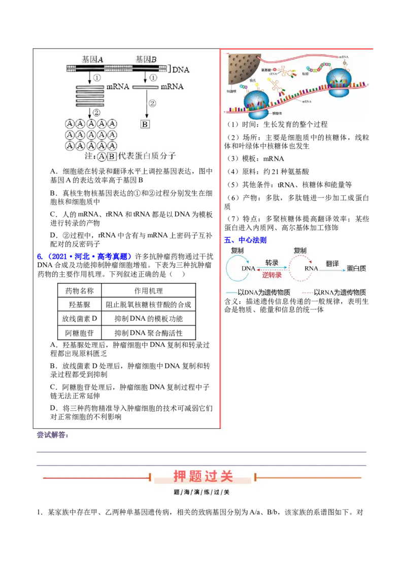 押新高考卷遗传与进化（原卷版）-备战2024年高考生物临考题号押题（新高考通用）_2024年新高考资料_5.2024三轮冲刺_备战2024年高考生物临考题号押题（新高考通用）322745222