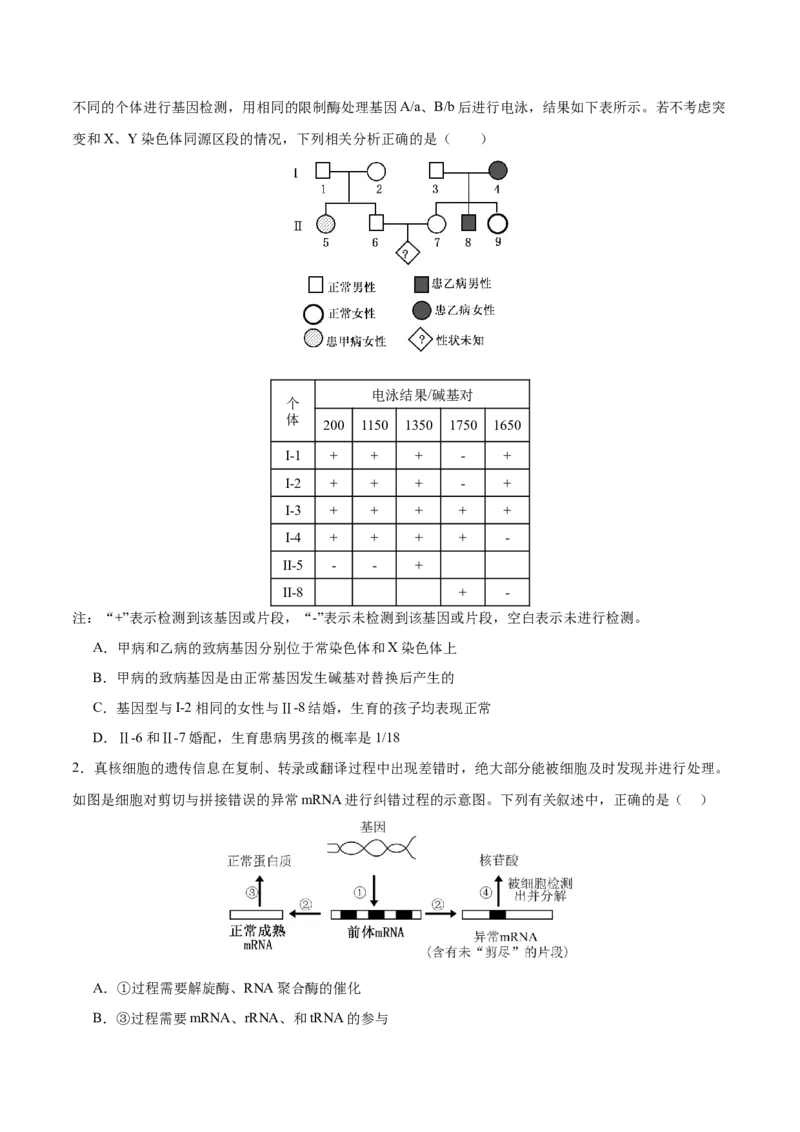 押新高考卷遗传与进化（原卷版）-备战2024年高考生物临考题号押题（新高考通用）_2024年新高考资料_5.2024三轮冲刺_备战2024年高考生物临考题号押题（新高考通用）322745222