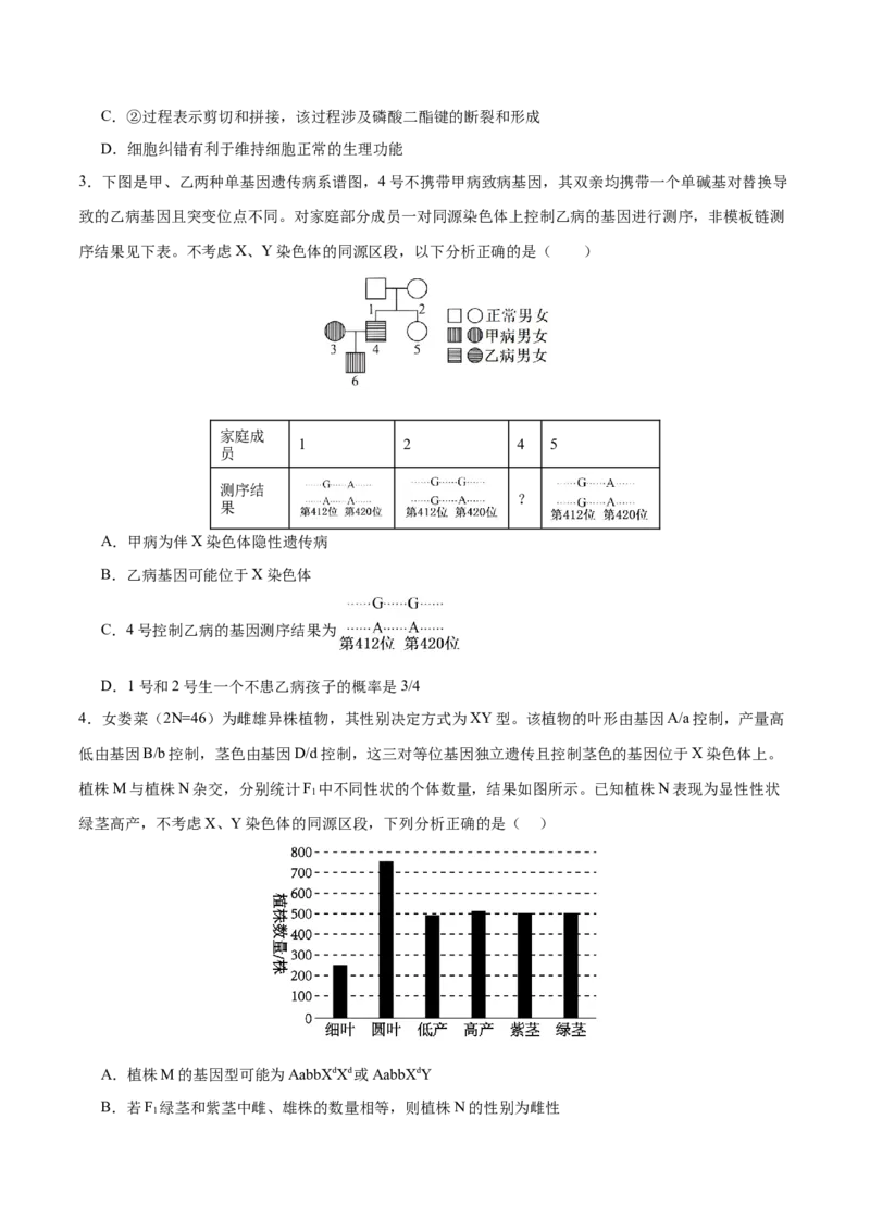 押新高考卷遗传与进化（原卷版）-备战2024年高考生物临考题号押题（新高考通用）_2024年新高考资料_5.2024三轮冲刺_备战2024年高考生物临考题号押题（新高考通用）322745222
